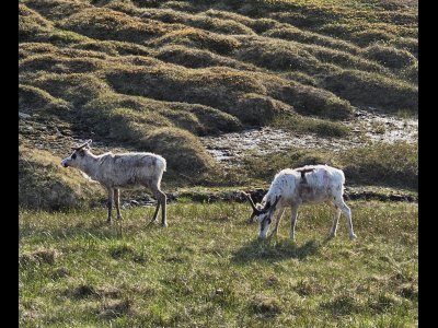 20250705_192116 - Kopie.jpg